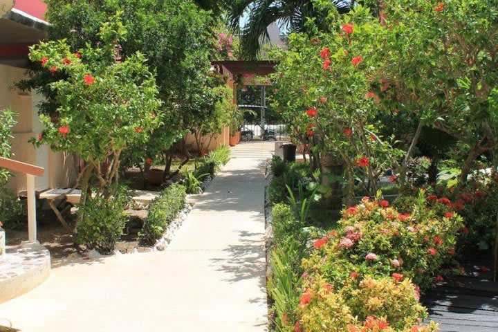 View of the garden at Cabañas María del Mar, hotel on Isla Mujeres