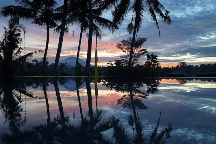PriceTravel - Travel easy, without excuses
