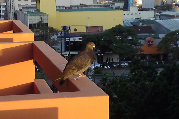 Balcony in a guest room at El Maragato