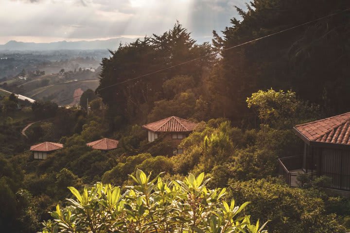 Las cabañas se distribuyen en el bosque