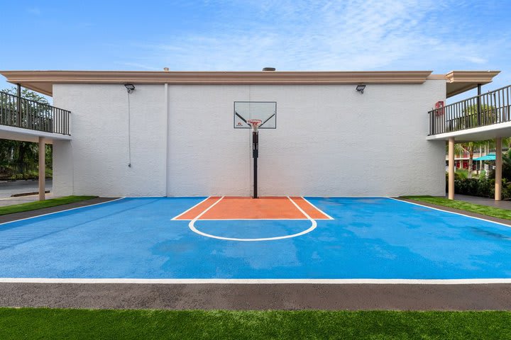 Basketball court