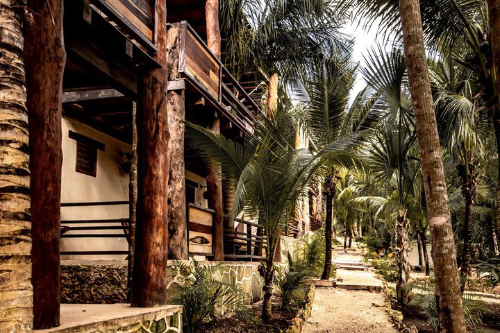 Bungalows surrounded by nature