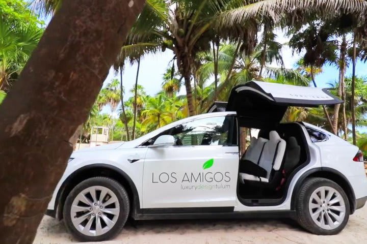 Electric vehicles are available for rent