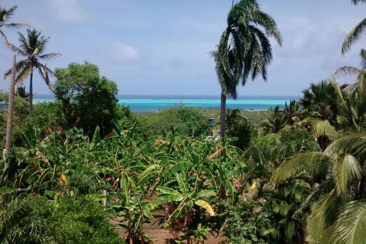 Vista desde la propiedad