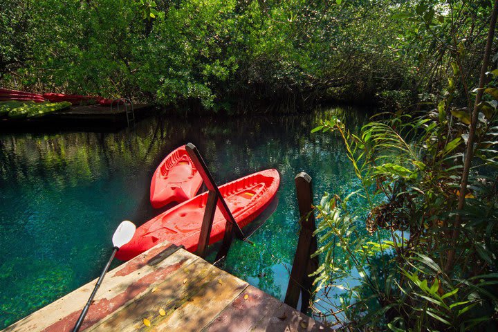 Kayaks