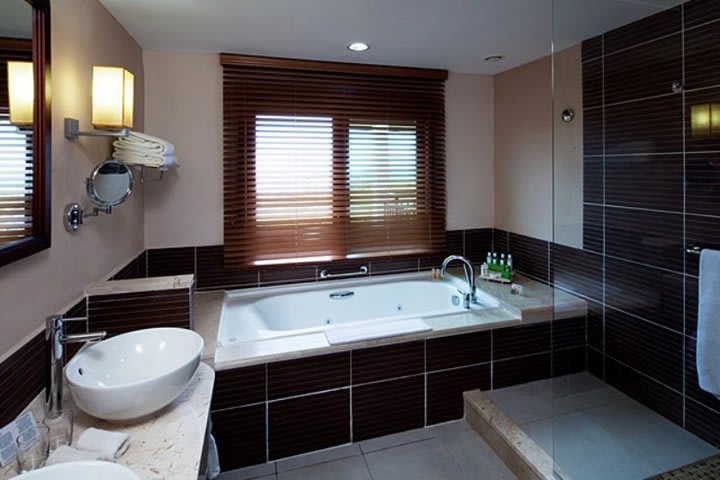 Guest bathroom with shower and tub