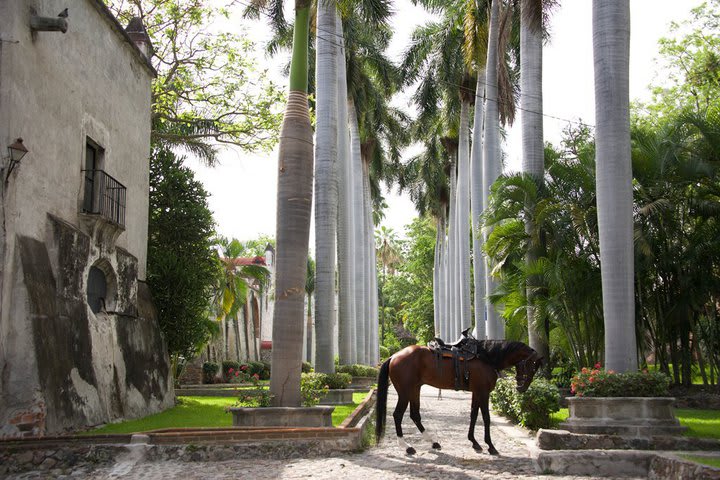 The hacienda dates back to the 16th century