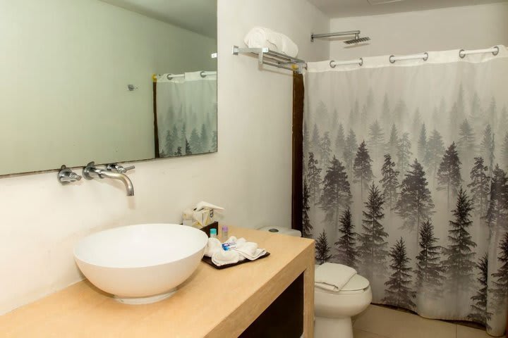 Bathroom in a master suite