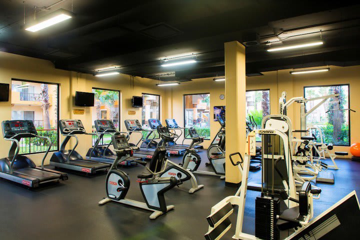 Fitness center overlooking the gardens