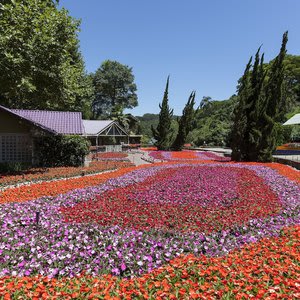 Hotel Unique Garden