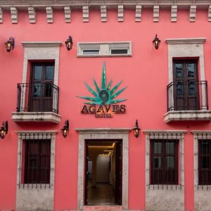 Hotel Nueve Agaves