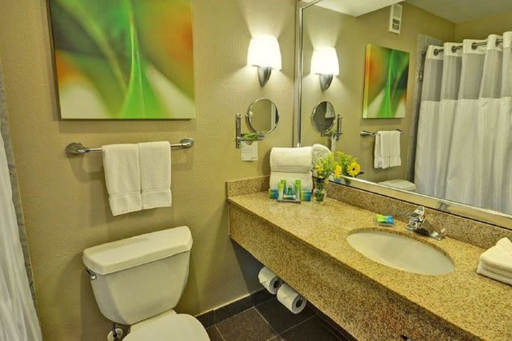 Guest bathroom