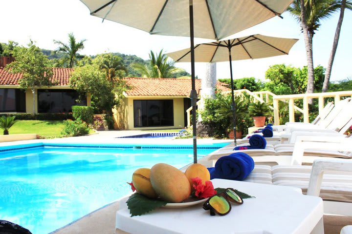 Sun loungers next to the pool