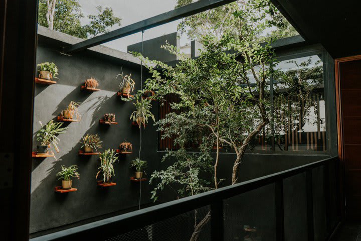 Jardín interior en la Casa Celosía