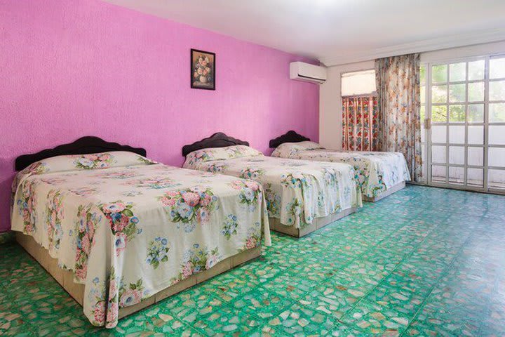 Accommodation with three beds