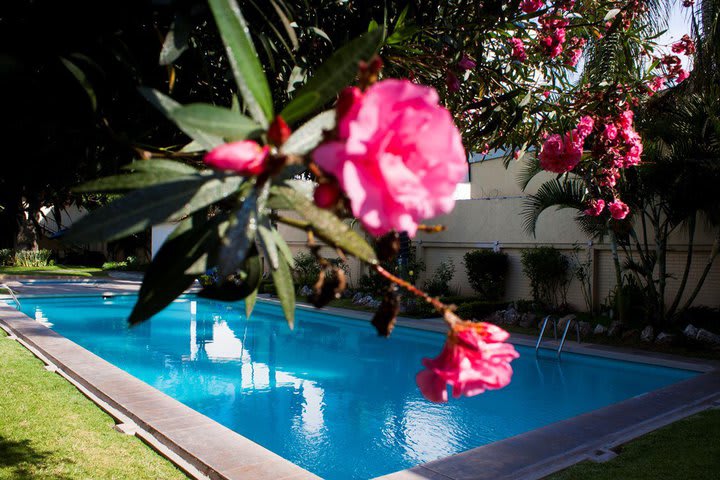 La piscina cuenta con área de descanso con camas plegables