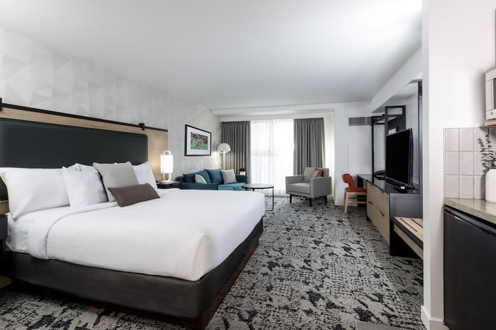 Img - Estudio Deluxe, 1 cama de matrimonio grande con sofá cama