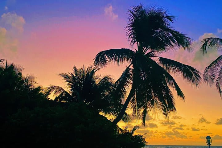 Paisaje del atardecer en la playa