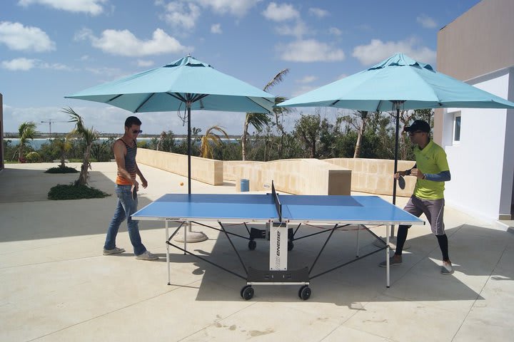 Play ping-pong