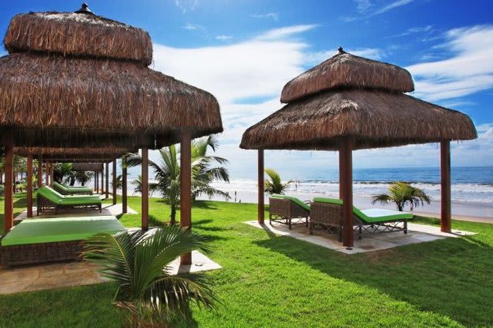 Palapas frente a la playa en el Best Western Porto de Galinhas