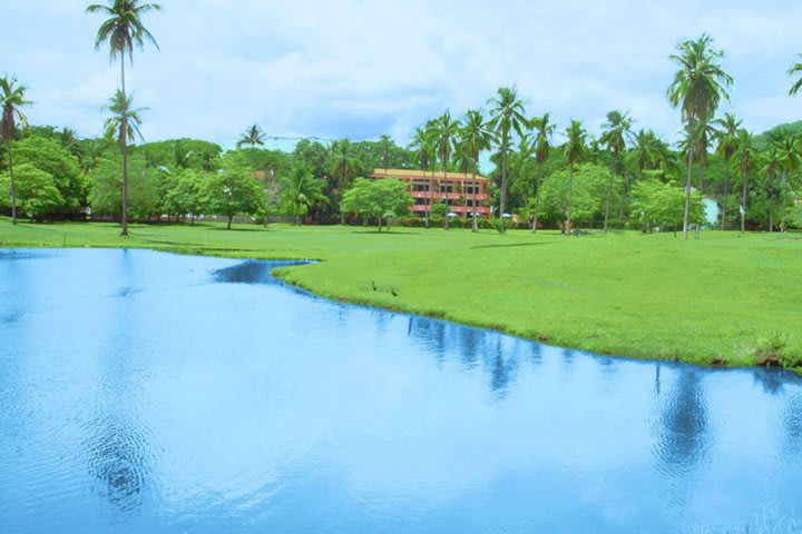 View of the pool