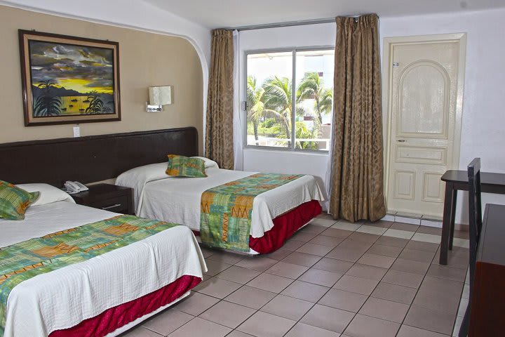 Img - Estándar