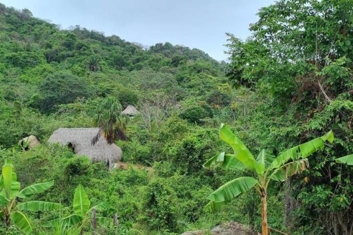 El hotel está dentro del Parque Tayrona