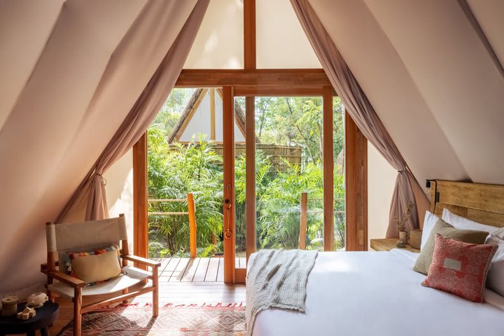 Interior view of a Jungle guest room