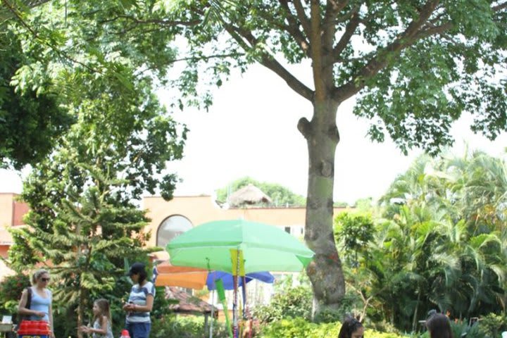 Event outdoors at the Hosteria las Quintas hotel in Cuernavaca