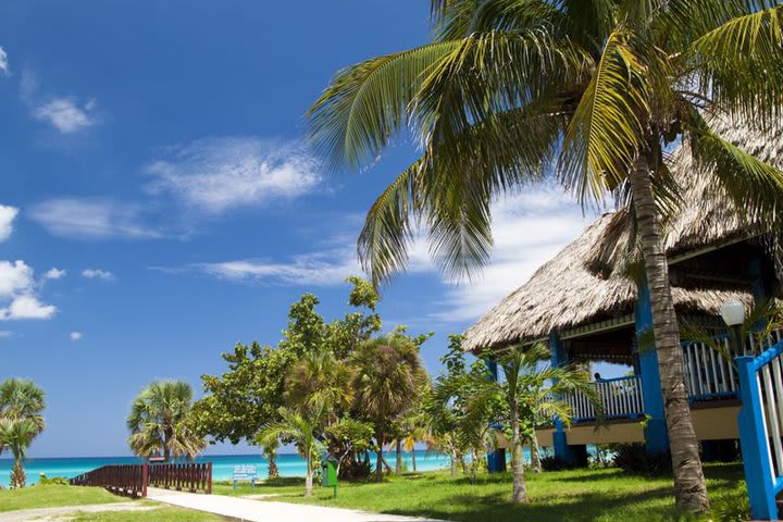 El hotel está rodeado de jardines