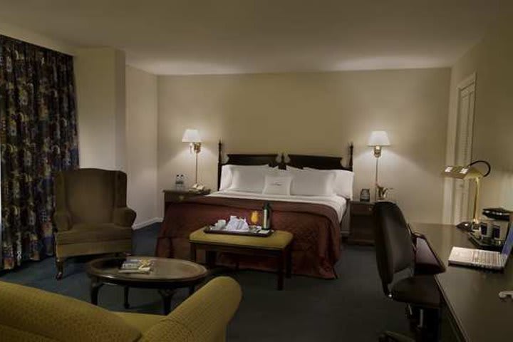 Guest room with sofa bed at the International Plaza, hotel in Toronto