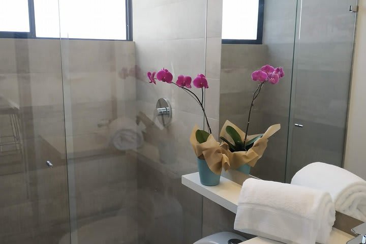 Private guest bathroom with shower