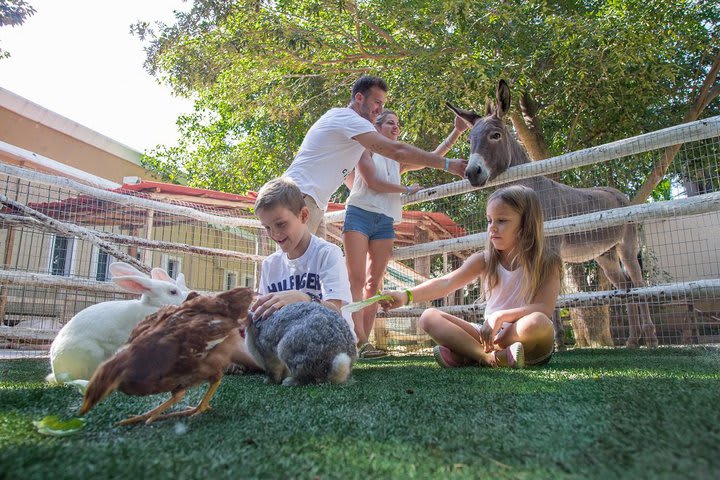 Hay una pequeña granja en el resort