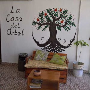 La Casa del Árbol Cancun