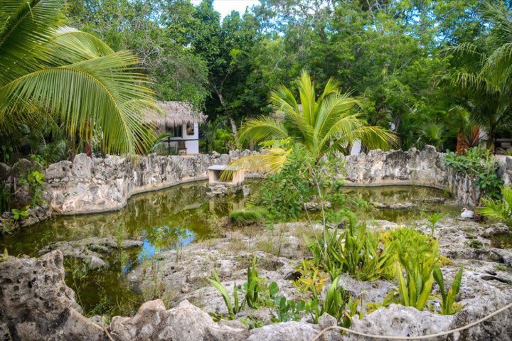 Jardín del hotel