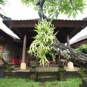 Indi Bali Hotel Sanur