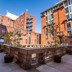 LSE Rosebery Hall - Campus Accommodation