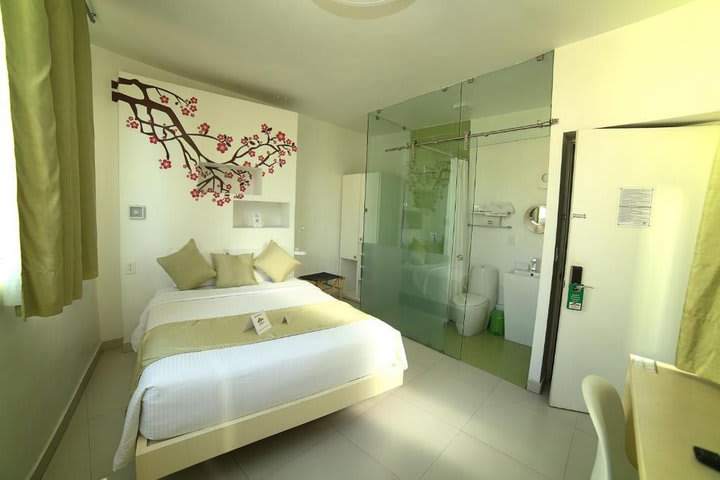 Standard double room