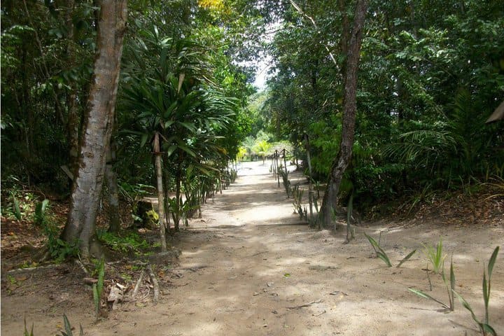 Senderos del hotel Malocas Jungle Lodge en Rio Preto da Eva