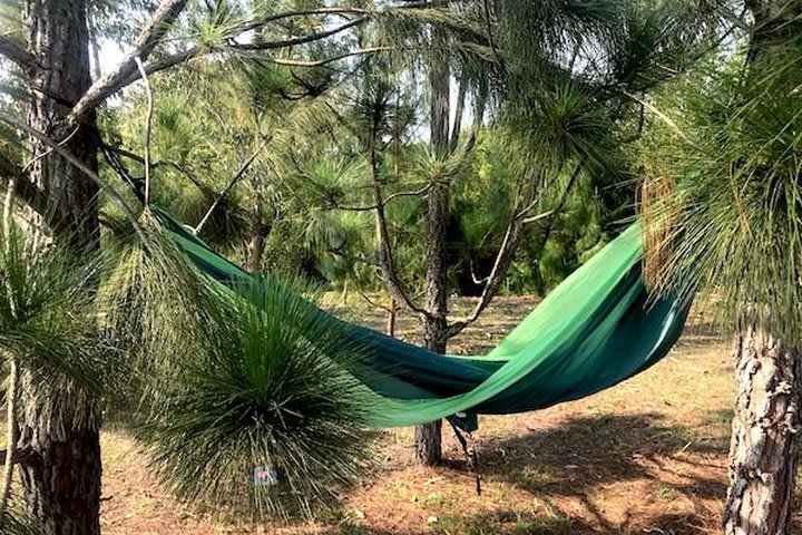 Hamacas al aire libre