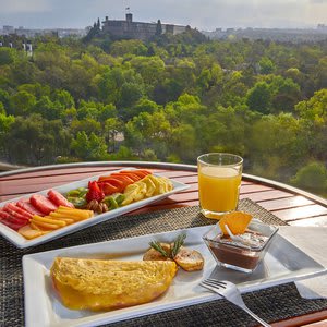 Wyndham Garden Mexico City Polanco