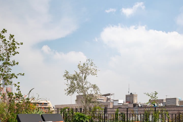 Camas para relajarse en la terraza