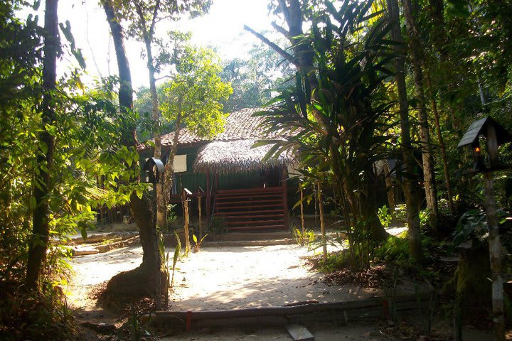 El hotel Malocas Jungle Lodge consta de cabañas en medio de la selva