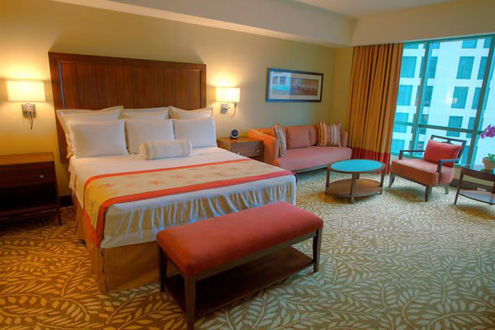 Deluxe premium room