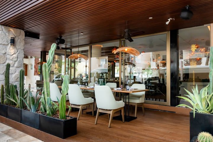 Cachito restaurant mixes the authentic culinary traditions with the modern Mexican cuisine