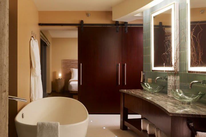 Bath in the Nirvana suite at dana hotel and spa in Chicago