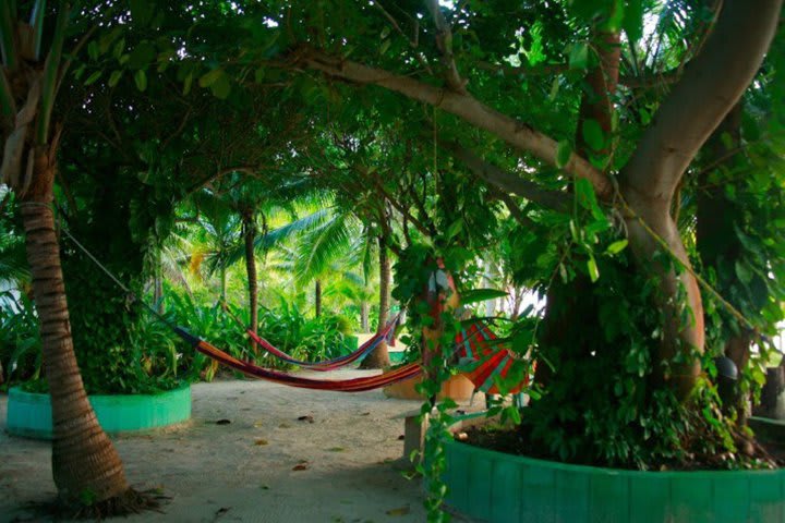 Hammocks distributed throughout the gardens