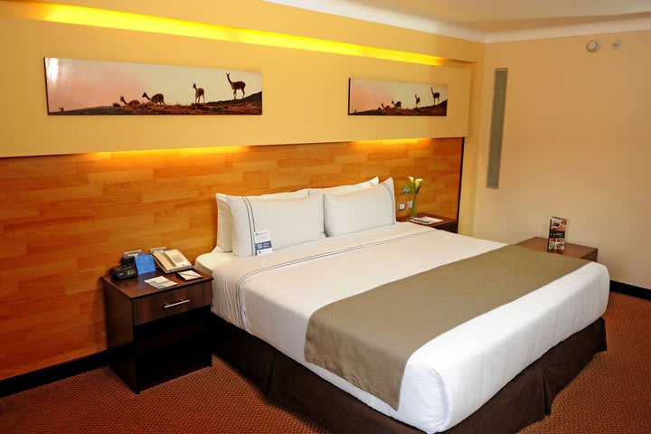 Executive room