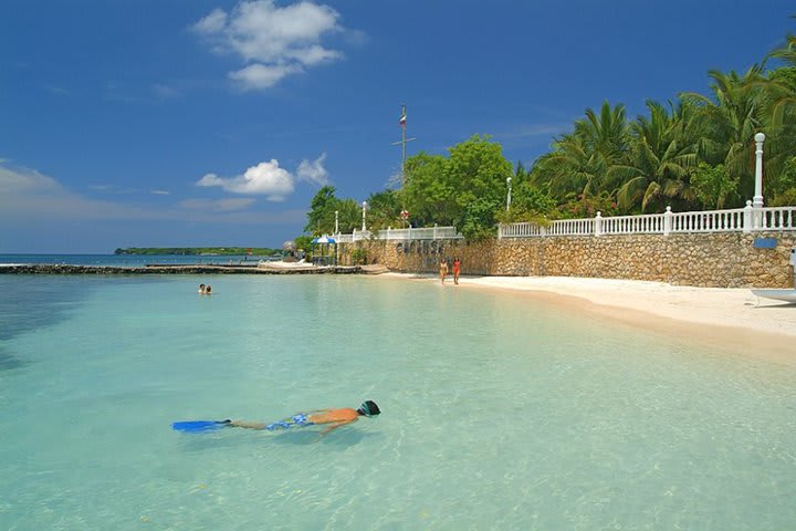 The waters that bathe the island are ideal for diving