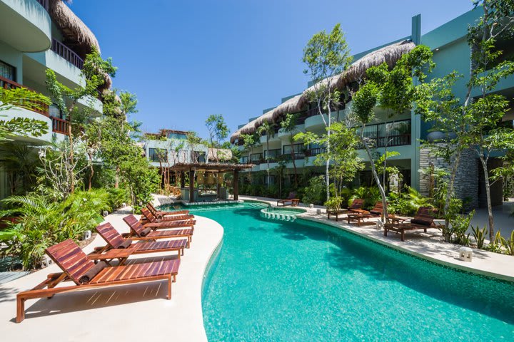 Sun loungers next to the pool